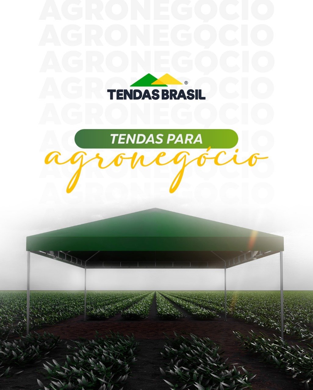 Imagem do WhatsApp de 2025-04-23 à(s) 21.35.29_15481101